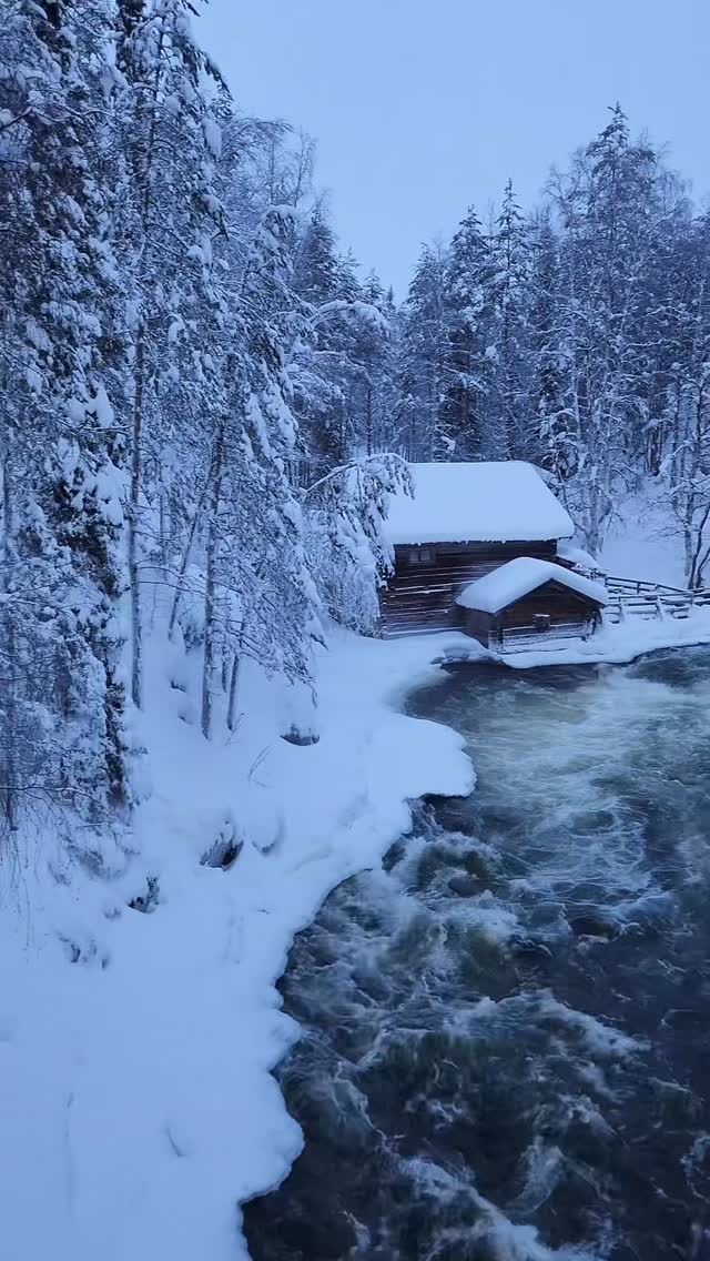 Snowy cabin by river in winter forest
