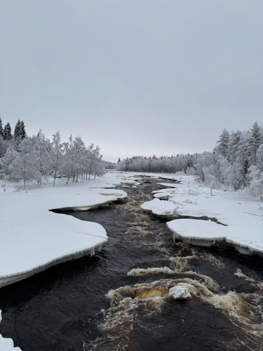 Snowy river with ice-covered banks and trees.