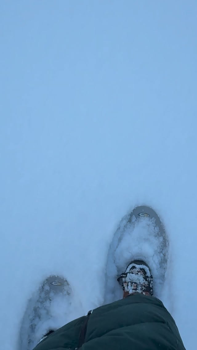 Person snowshoeing in deep snow.