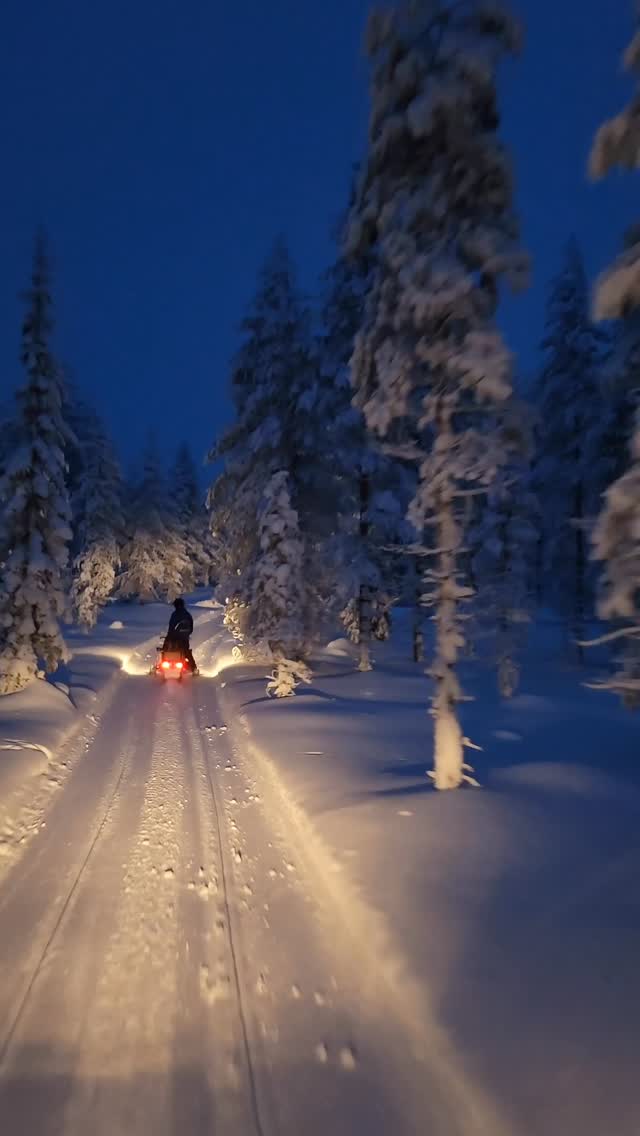 Snowmobiler riding through snowy forest at dusk