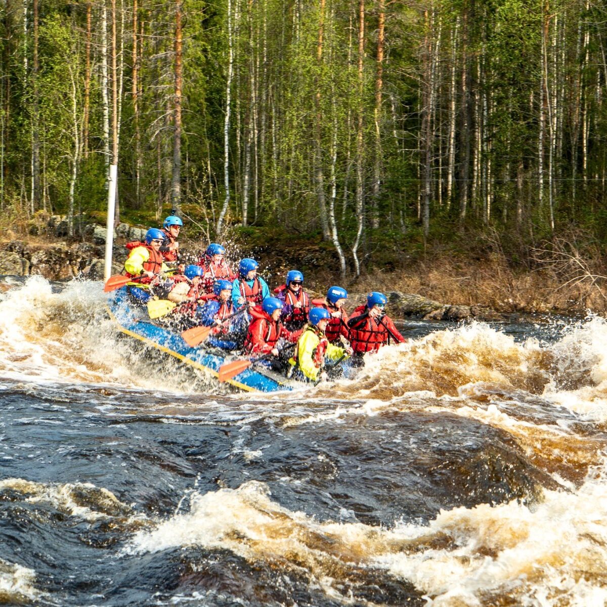 Group white-water rafting through forest rapids