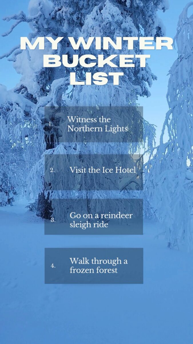 Winter bucket list over snowy forest background
