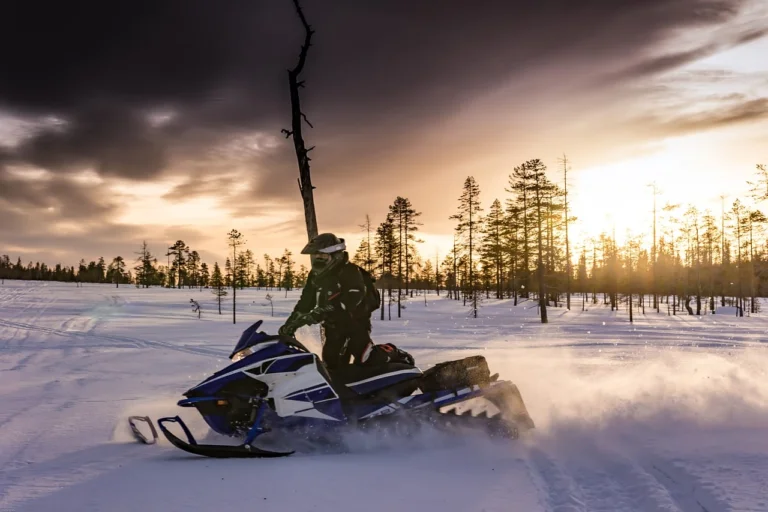Snowmobile safari in Lapland