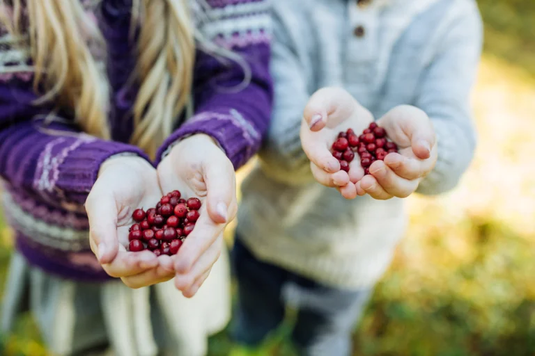 Children holding red berries in their hands.