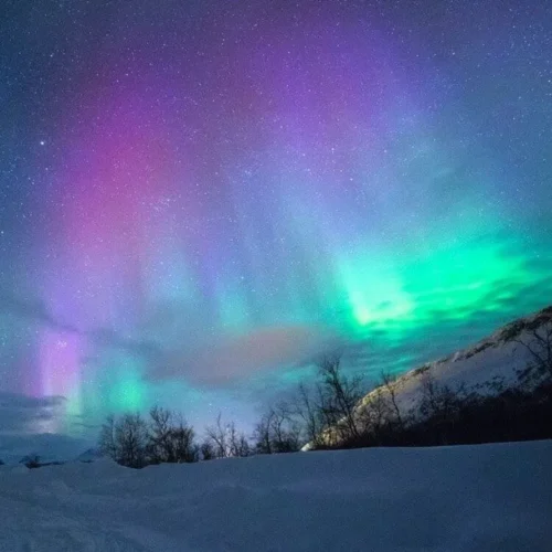 Colorful aurora borealis over snowy landscape.
