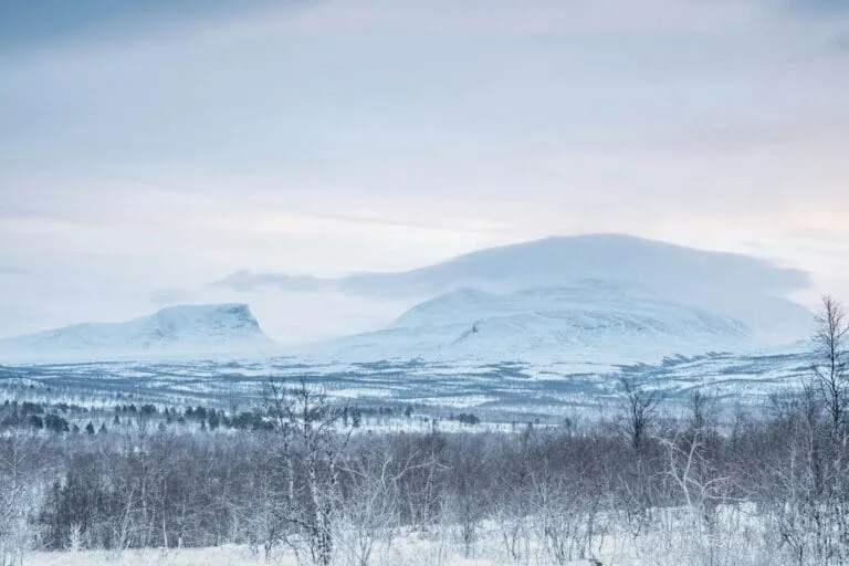 Snow-covered mountains and forest in winter mist