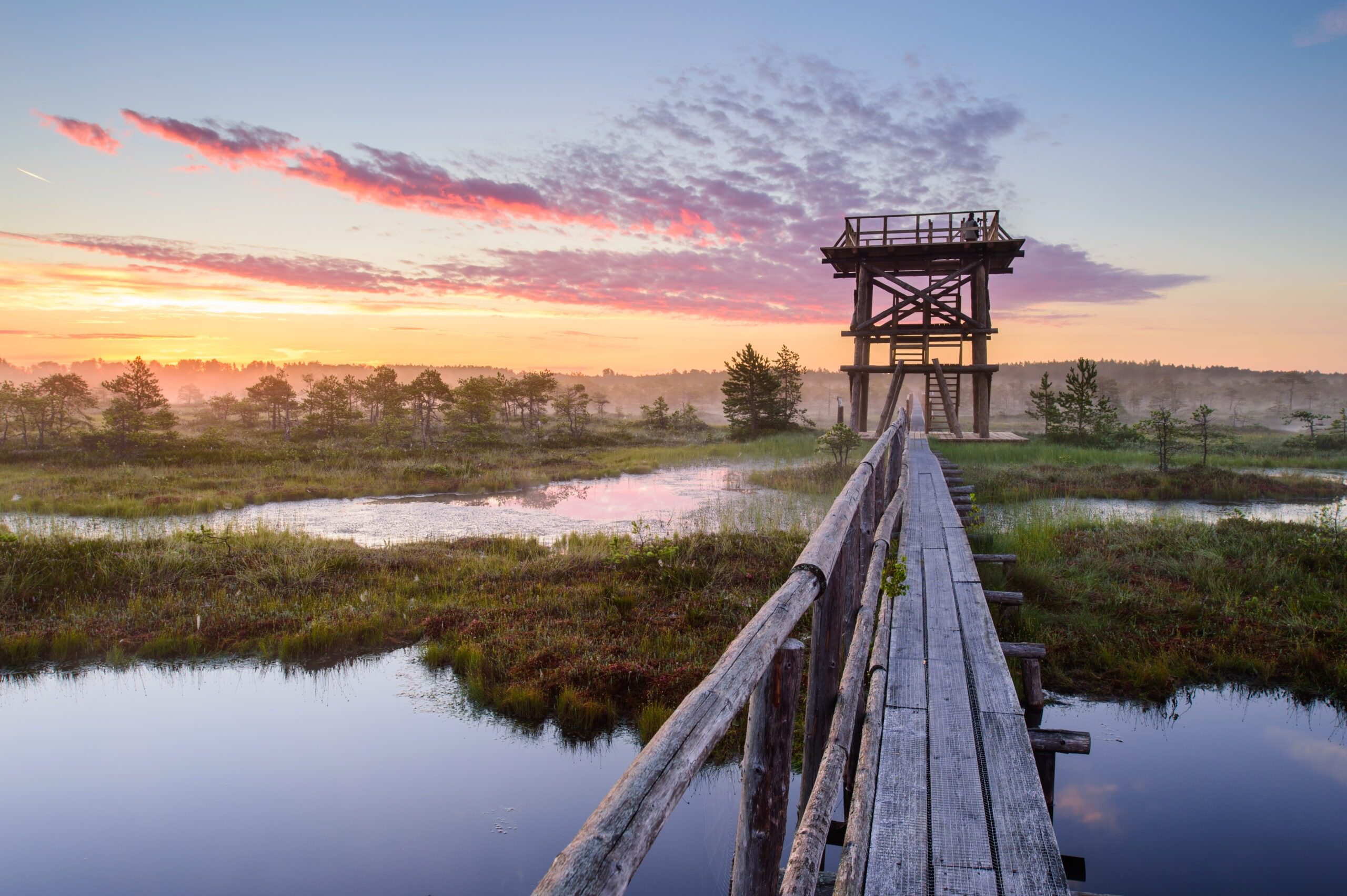 Active Baltic Adventure bog road Estonia