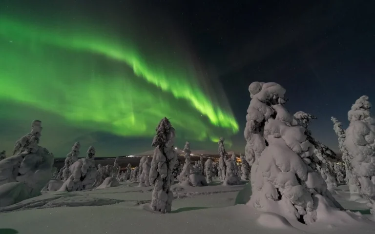 Green aurora over snow-covered forest at night