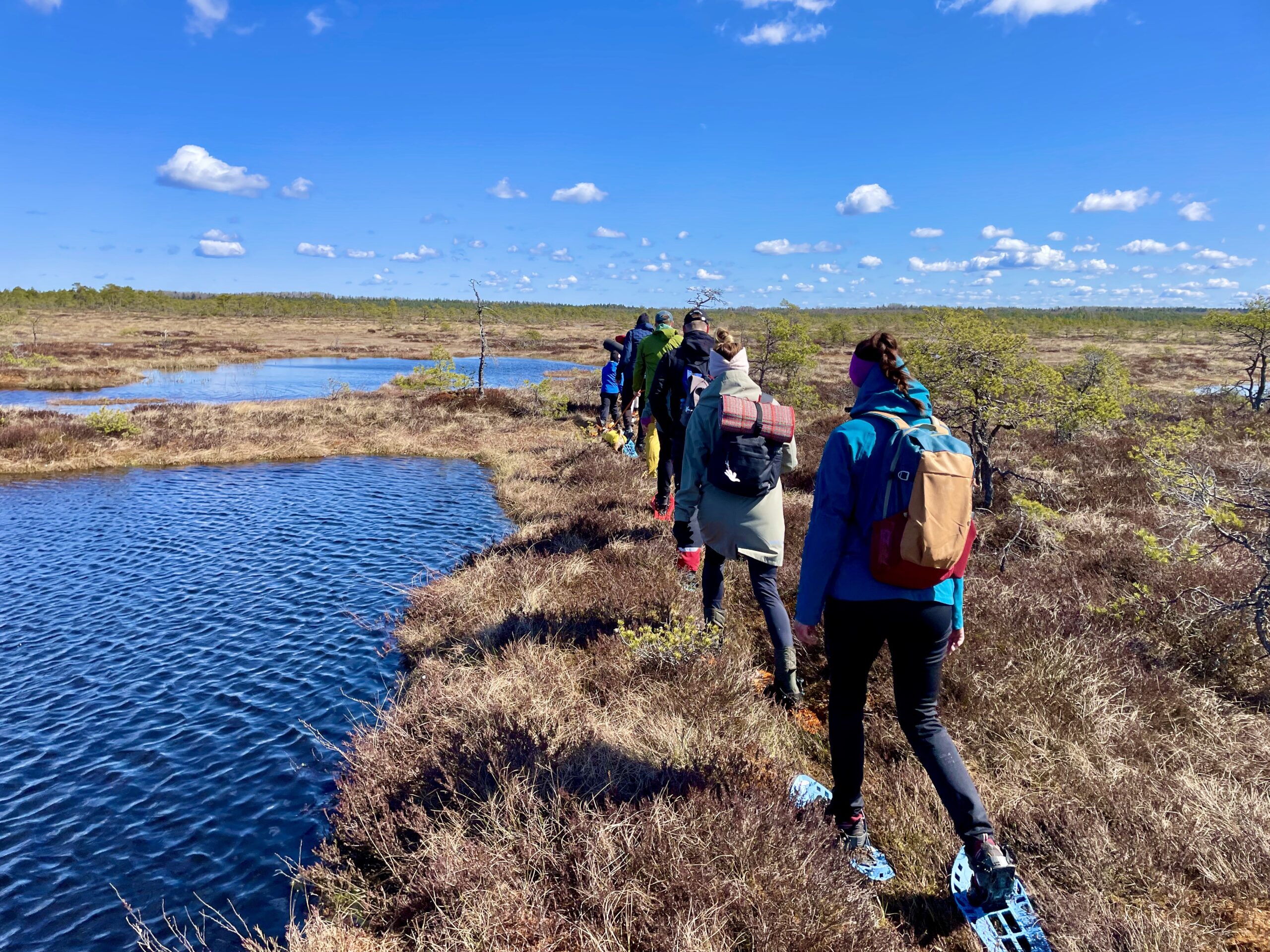 Active Baltic Adventure bogshoe hiking Tallinn