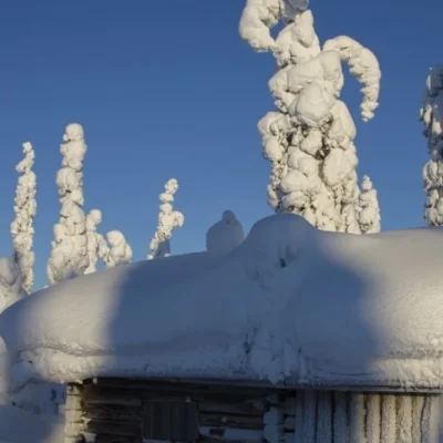 Snow-covered cabin roof and trees under blue sky