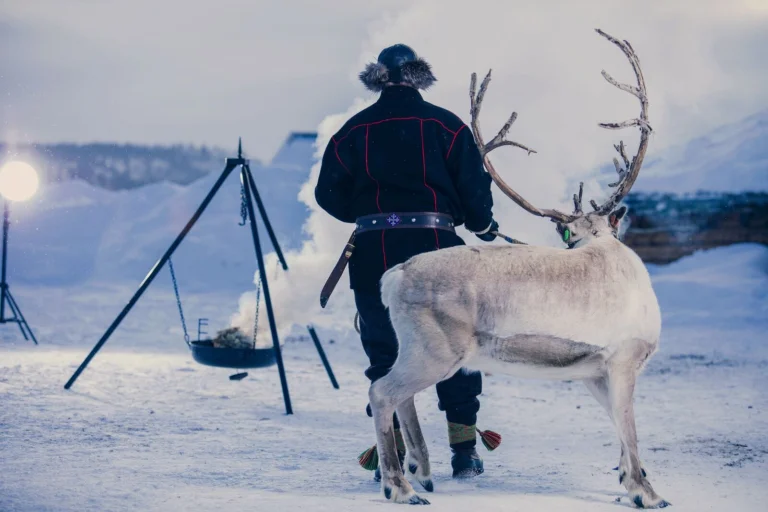 Person standing with reindeer in snowy landscape