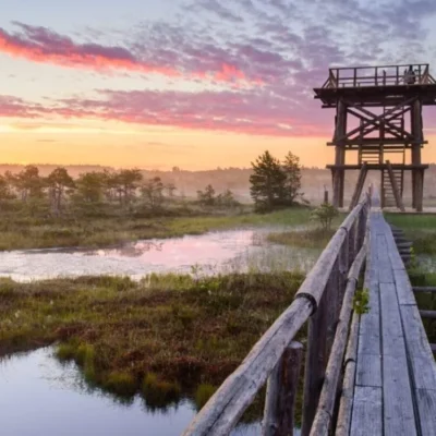 Wooden boardwalk leading to marsh observation tower at sunrise