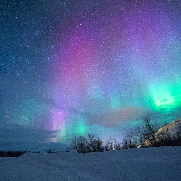 Colorful aurora over snowy winter landscape