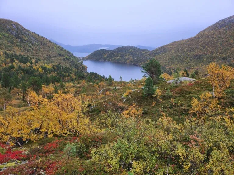 Autumn lake surrounded by colorful forested hills