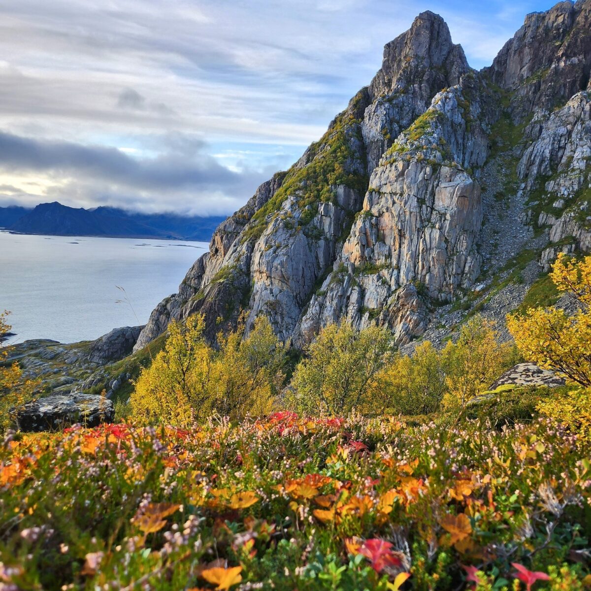 Rocky coastal mountain with autumn foliage and sea