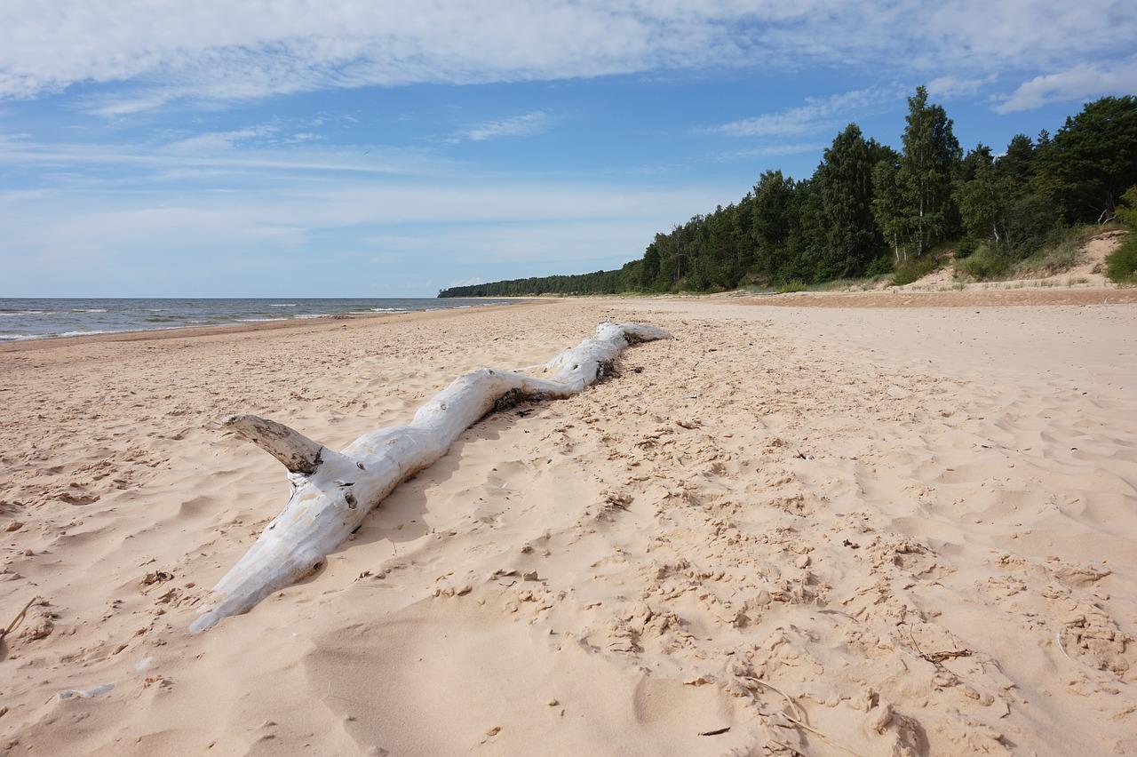 Baltic sea beach Latvia