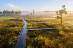 Soomaa national park Estonia